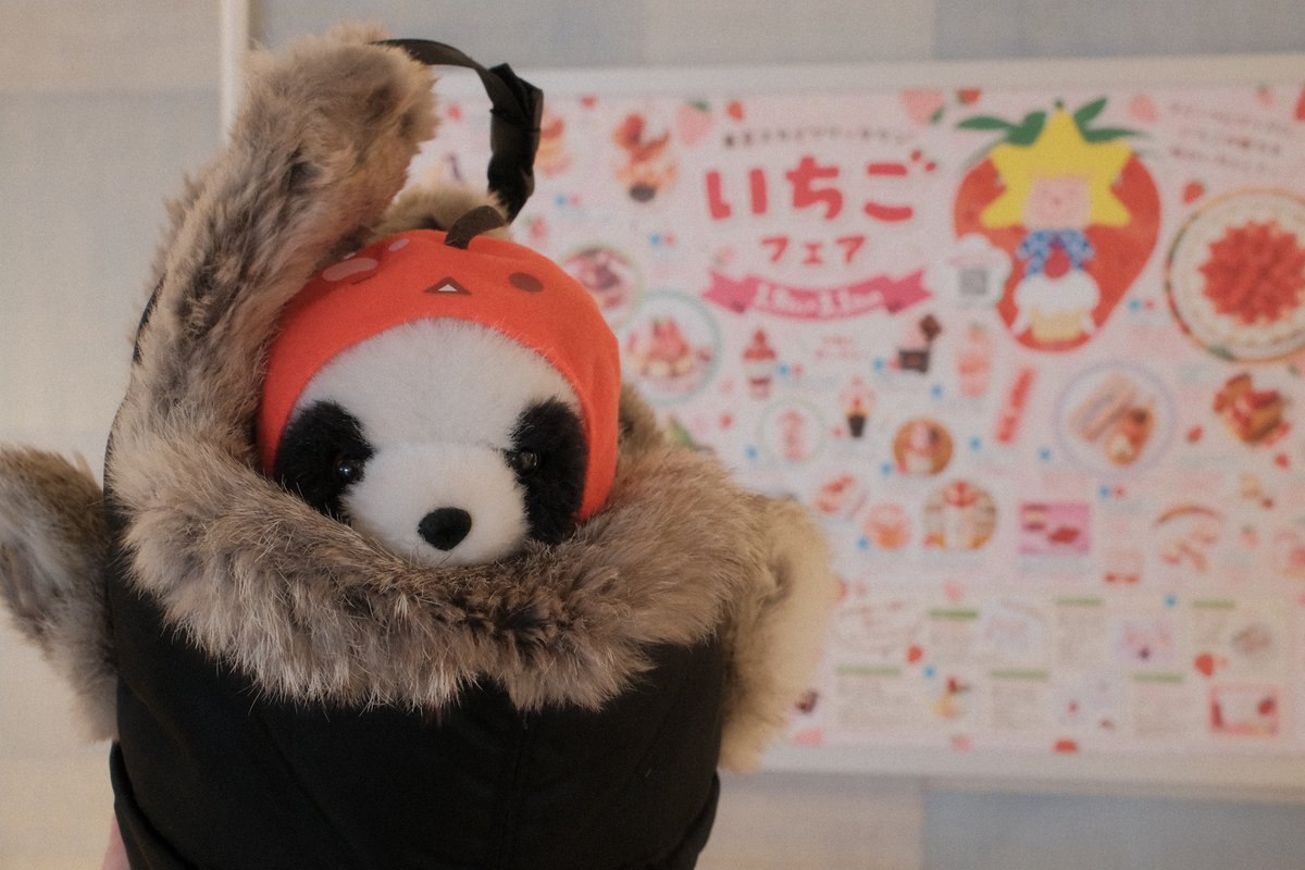 ふともも手帖 tweet media