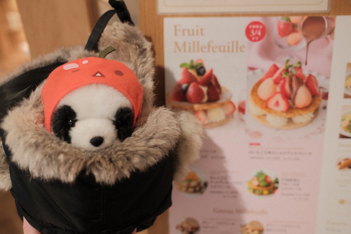 ふともも手帖 tweet media