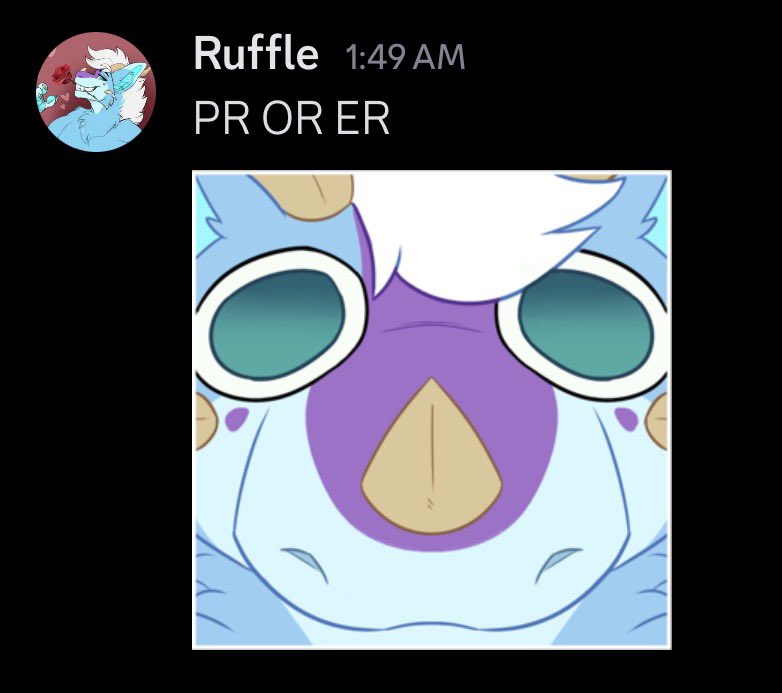 Ruffle 🏢🐾 tweet media