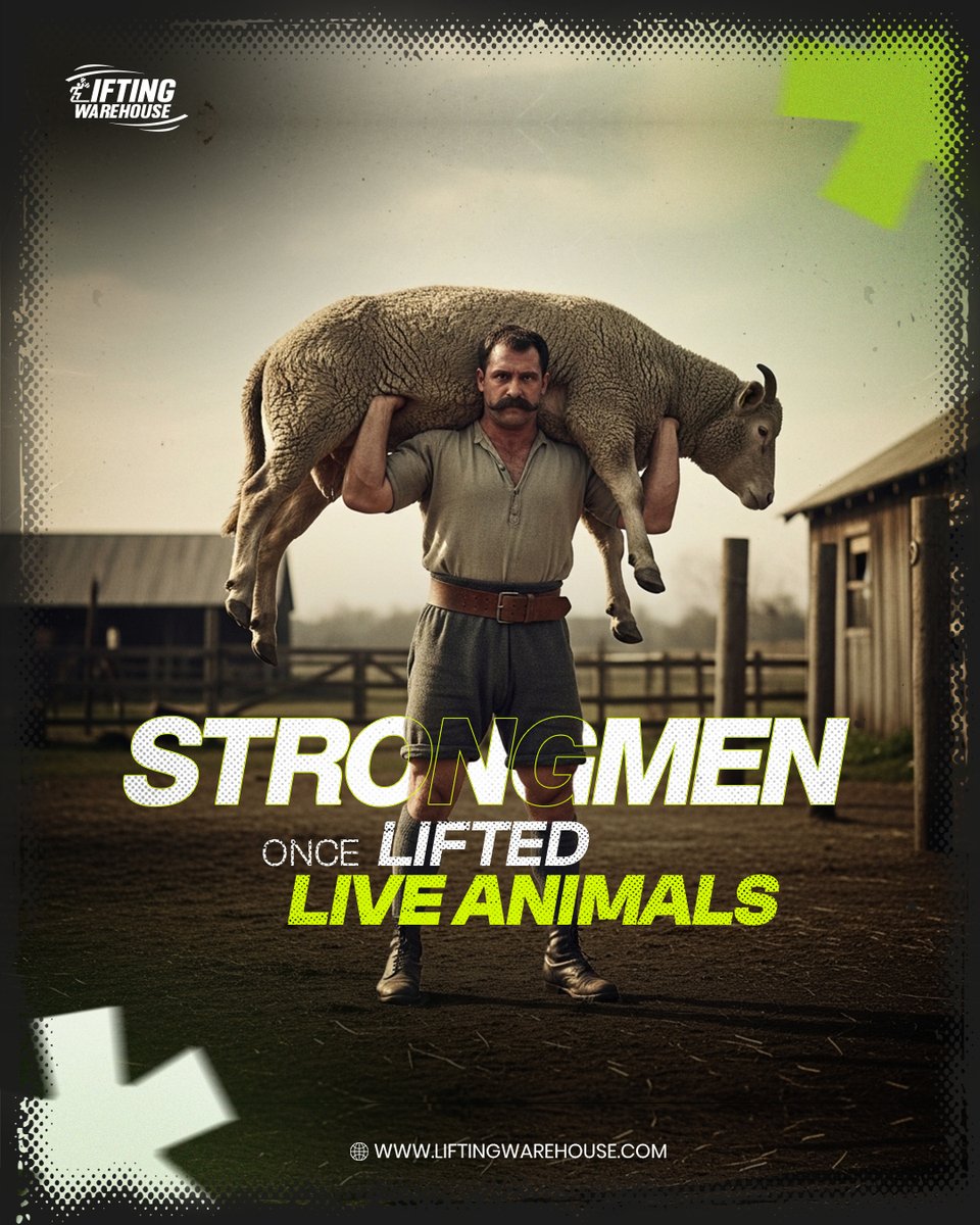 Liftingwhouse's tweet photo. Strongmen once lifted live animals — before barbells even existed.
Unpredictable weight. Moving load. Pure control.
That’s the root of modern strongman. https://t.co/rKB3DudAwO