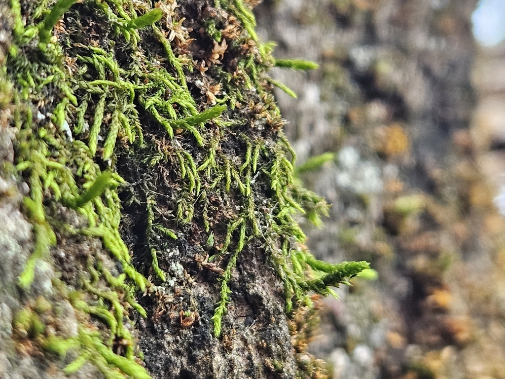 Marc Riera tweet media