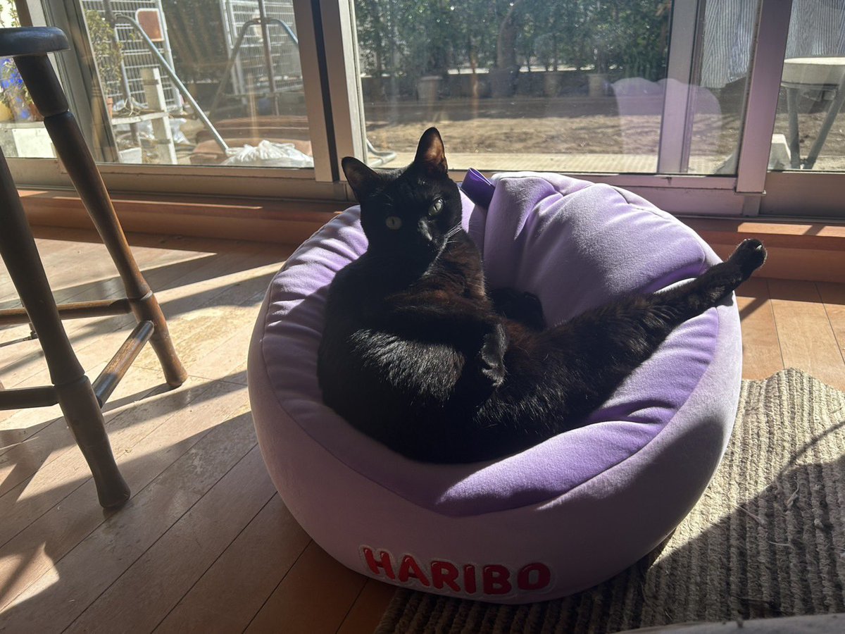 taboo_0_0_'s tweet photo. ハリボー ハッピーグレープキャンペーン
ありがとうございました

うちの姫君が大変喜んでおります

HARIBO大好きです
これからも食べ続けます🥰 https://t.co/5pTBBBbzTe