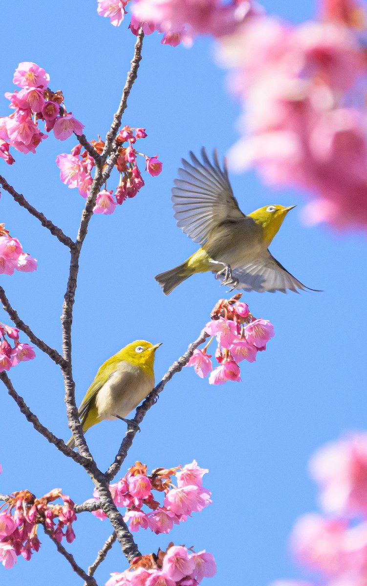 がっきー@写真垢 (@7vyw4) / Posts / X