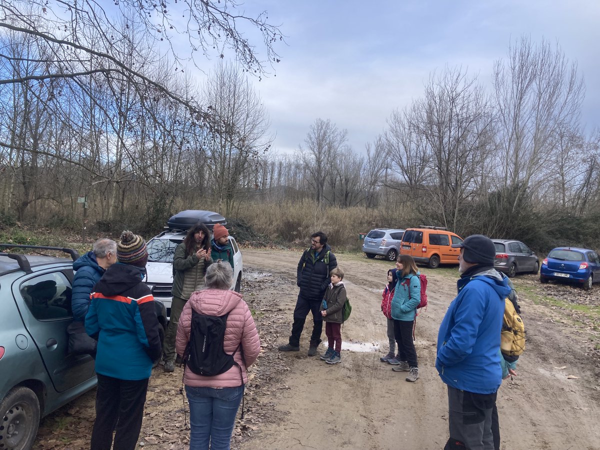 Marc Riera tweet media