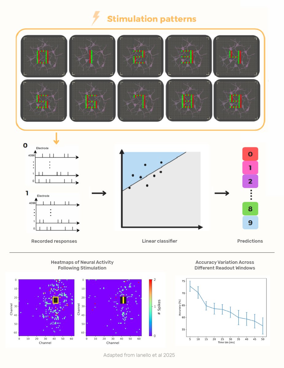 3Brain AG tweet media