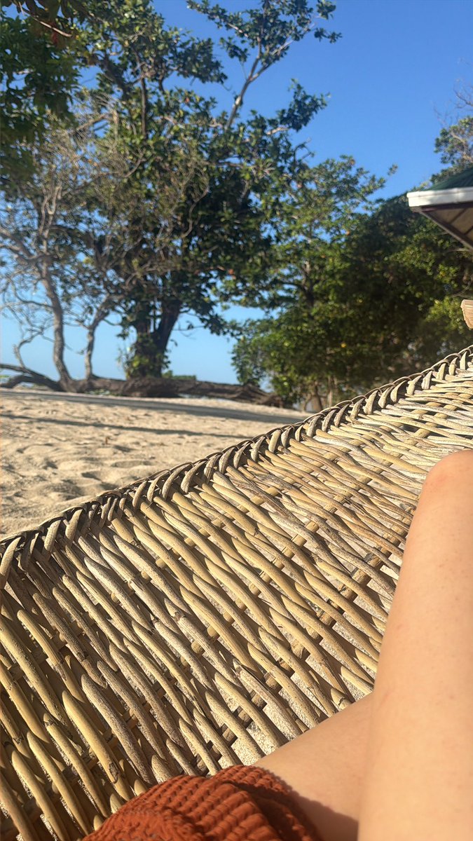 Bonniealt tweet media