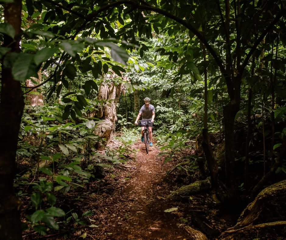 RepPlusUK's tweet image. See Samoa at handlebar height, from casual rides to bike tours and jungle paths.

#DiscoverBeautiful #Samoa #BeautifulSamoa #Travel #PacificIsland #BucketListDestination #RepPlusClient