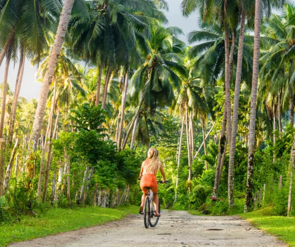 RepPlusUK's tweet image. See Samoa at handlebar height, from casual rides to bike tours and jungle paths.

#DiscoverBeautiful #Samoa #BeautifulSamoa #Travel #PacificIsland #BucketListDestination #RepPlusClient