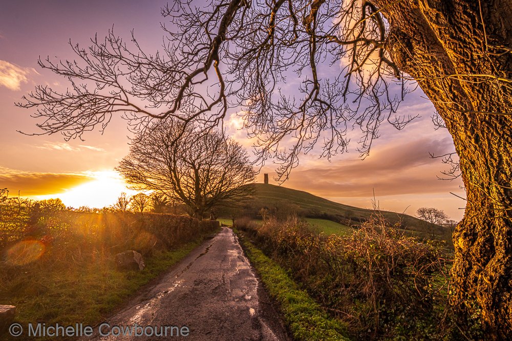 Michelle Cowbourne tweet media