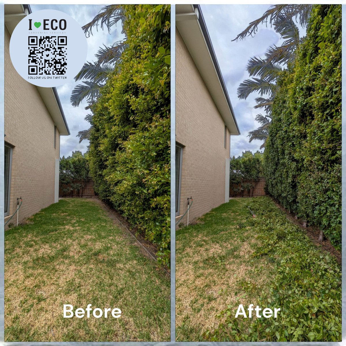 iloveeco1111's tweet image. Summer shrub pruning around Elsternwick is not just about looks. Proper pruning improves airflow, reduces pests and keeps your garden healthy through the warmer months 🌿
Shai | I 💚 ECO Gardening Services
#ShrubPruning #SummerGardening #Elsternwick  #EcoGardening #GardenCare
