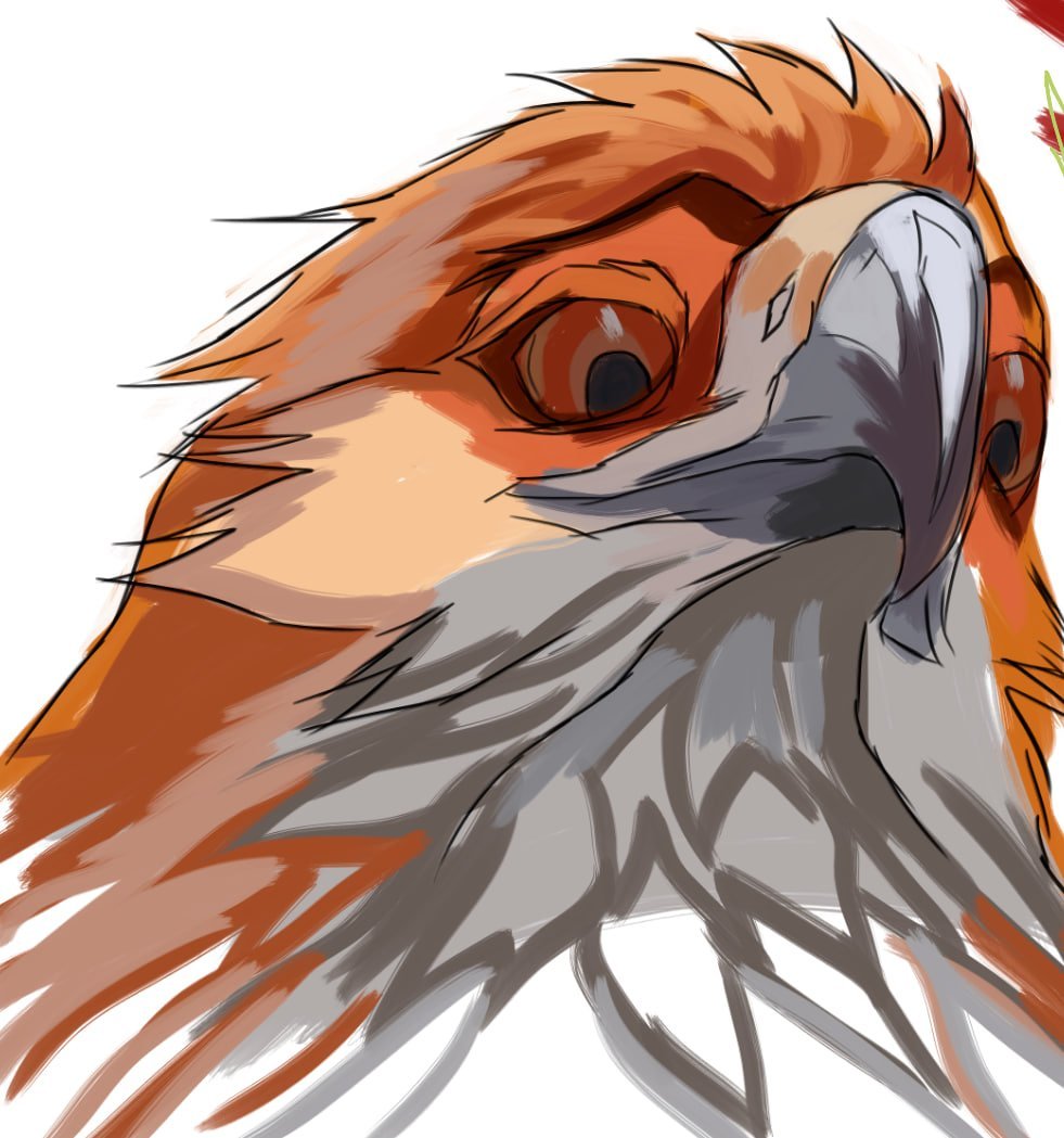 ℜ𝔢𝔶𝔡𝔢𝔤𝔬𝔯 ᚱᚷᚫ tweet media