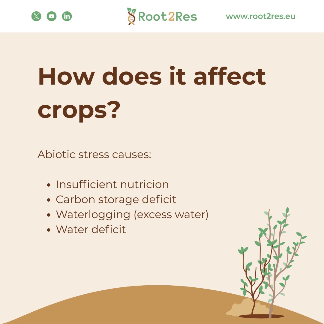 Root2Res tweet media