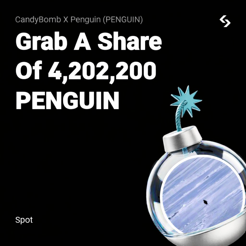 Bitget_DACH tweet media