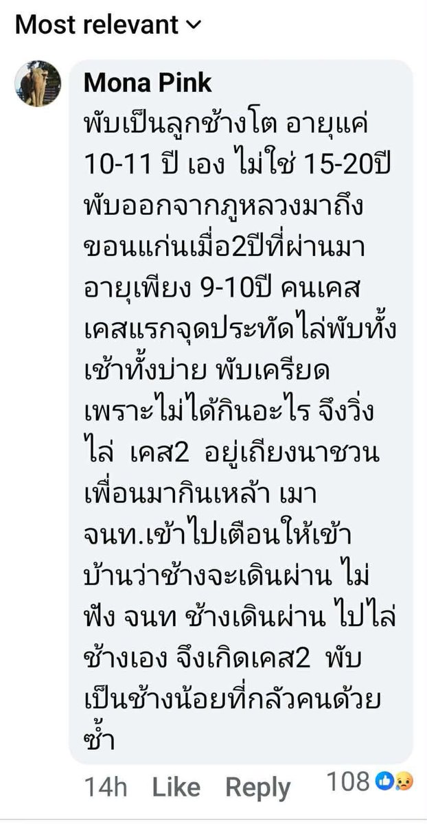 นี่หรอ เหตุที่ต้องย้ายน้องออกจากพื้นที่ เขาเป็นแค่สัตว์ป่า เขาผิดอะไร😭

 #สีดอหูพับ