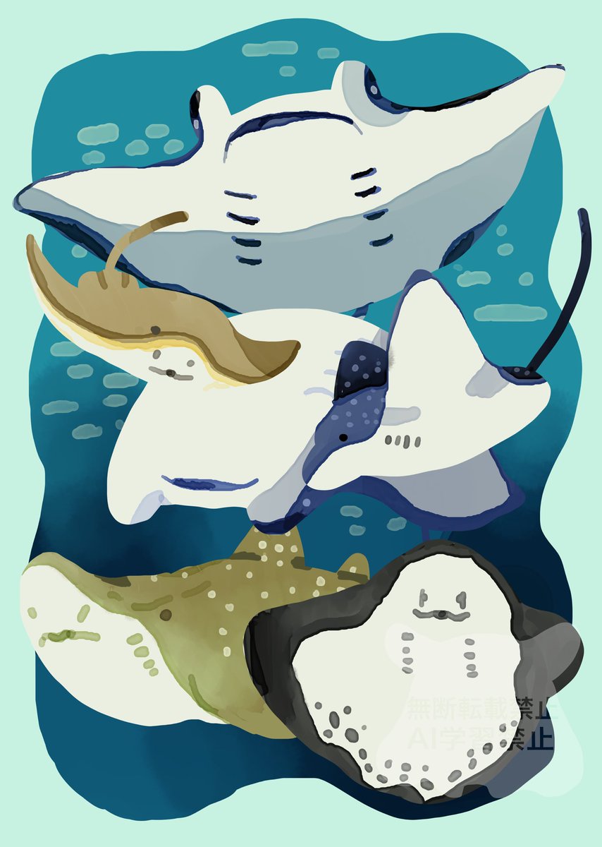 yamaguchikanta1's tweet photo. かわいいエイ達の裏側
(Cute stingray undersides) https://t.co/i2p519sXcm
