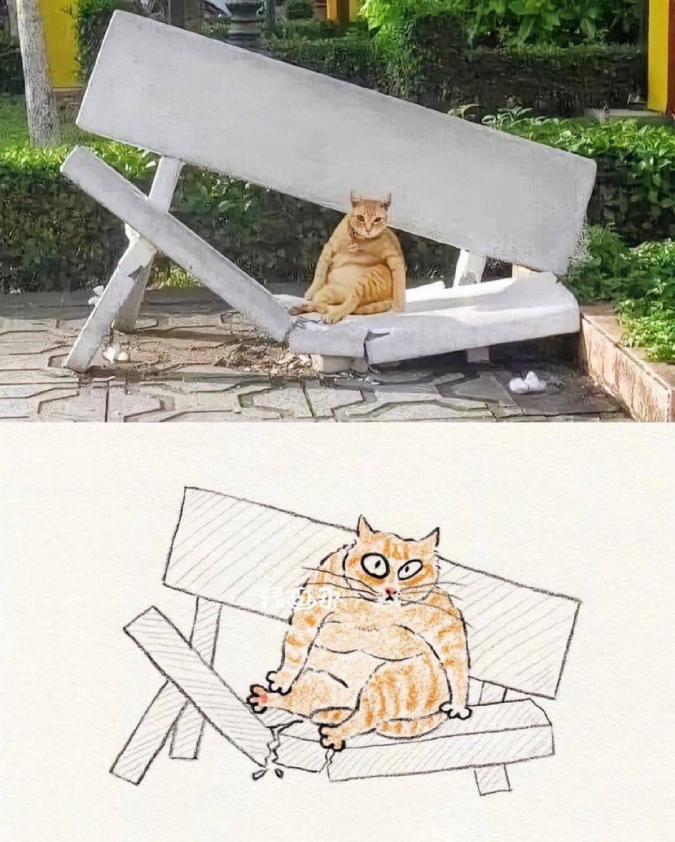 自分が重すぎて
壊れたみたいになってる猫