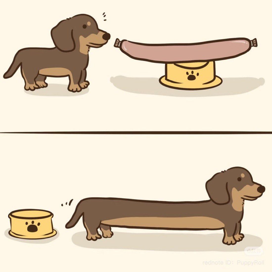 everything dogs 🐶 (@everythingdogss) on Twitter photo 