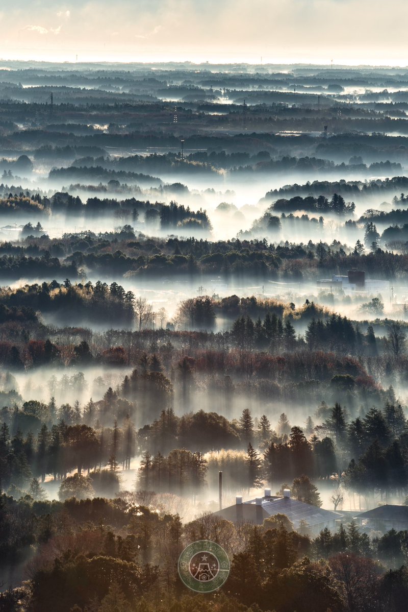 幾千の光芒が美しい茨城で迎える冬の朝。