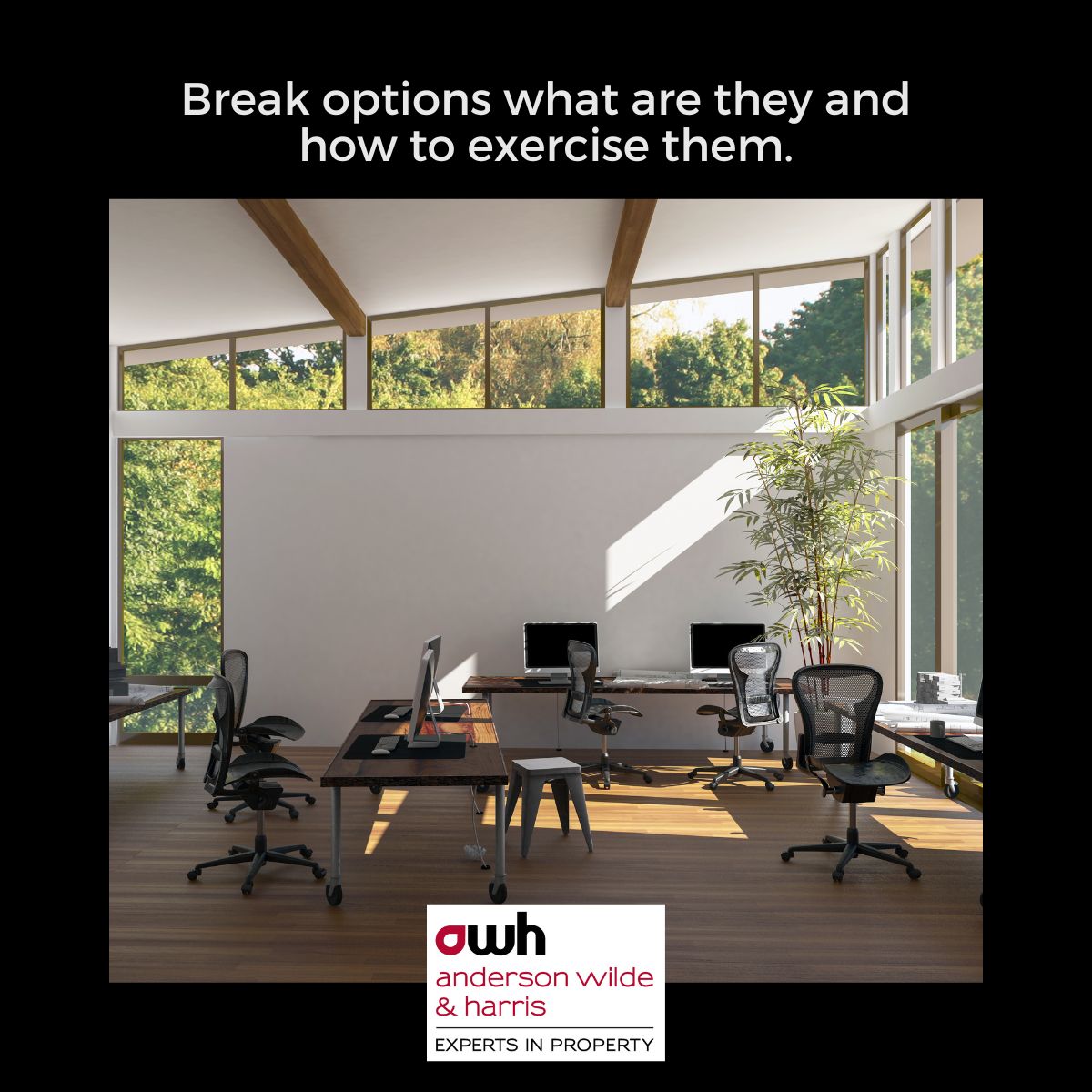 Break options what are they and how to exercise them.

Read our blog to understand the pros and cons of break options and how to apply them in our recent blog...

awh.co.uk/2023/09/04/bre…

#breakoptions #leaserenewal #leasedeals #leaseagreement lnkd.in/erDXnHQk