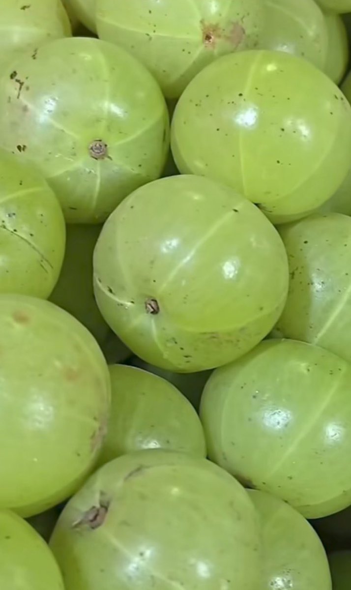 Mukesh Meena tweet media