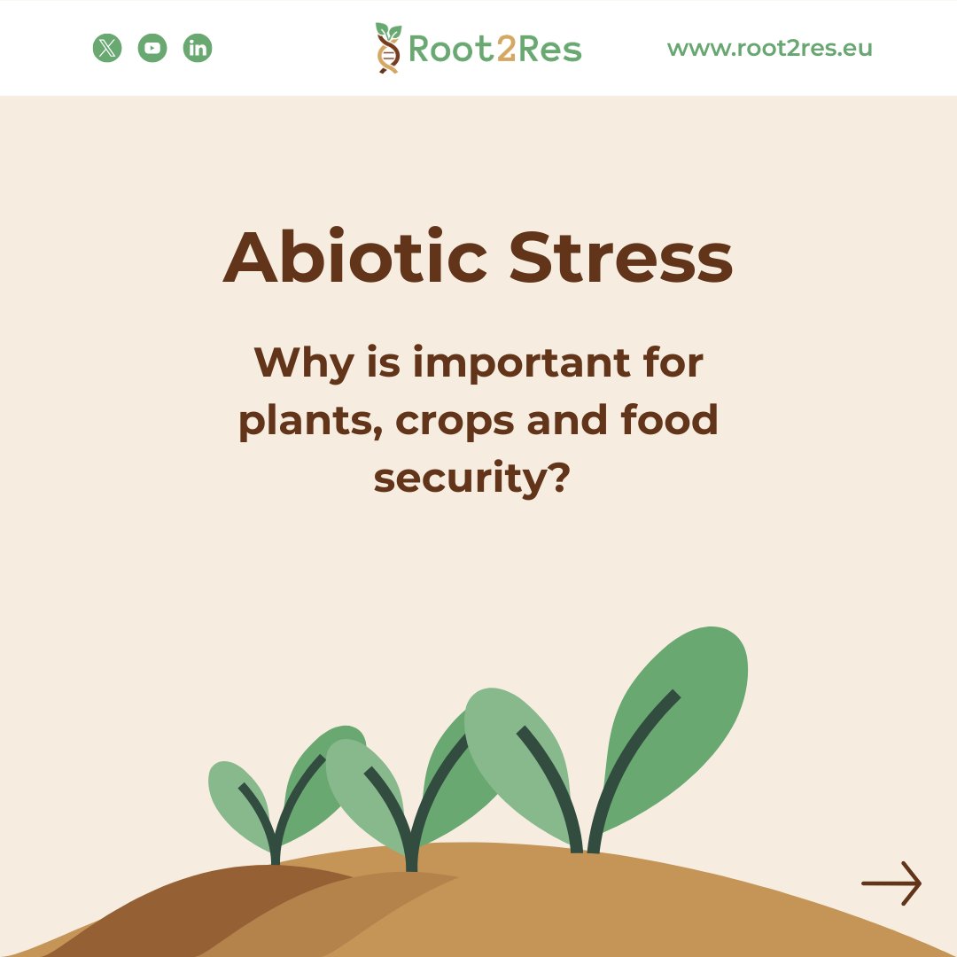 Root2Res tweet media