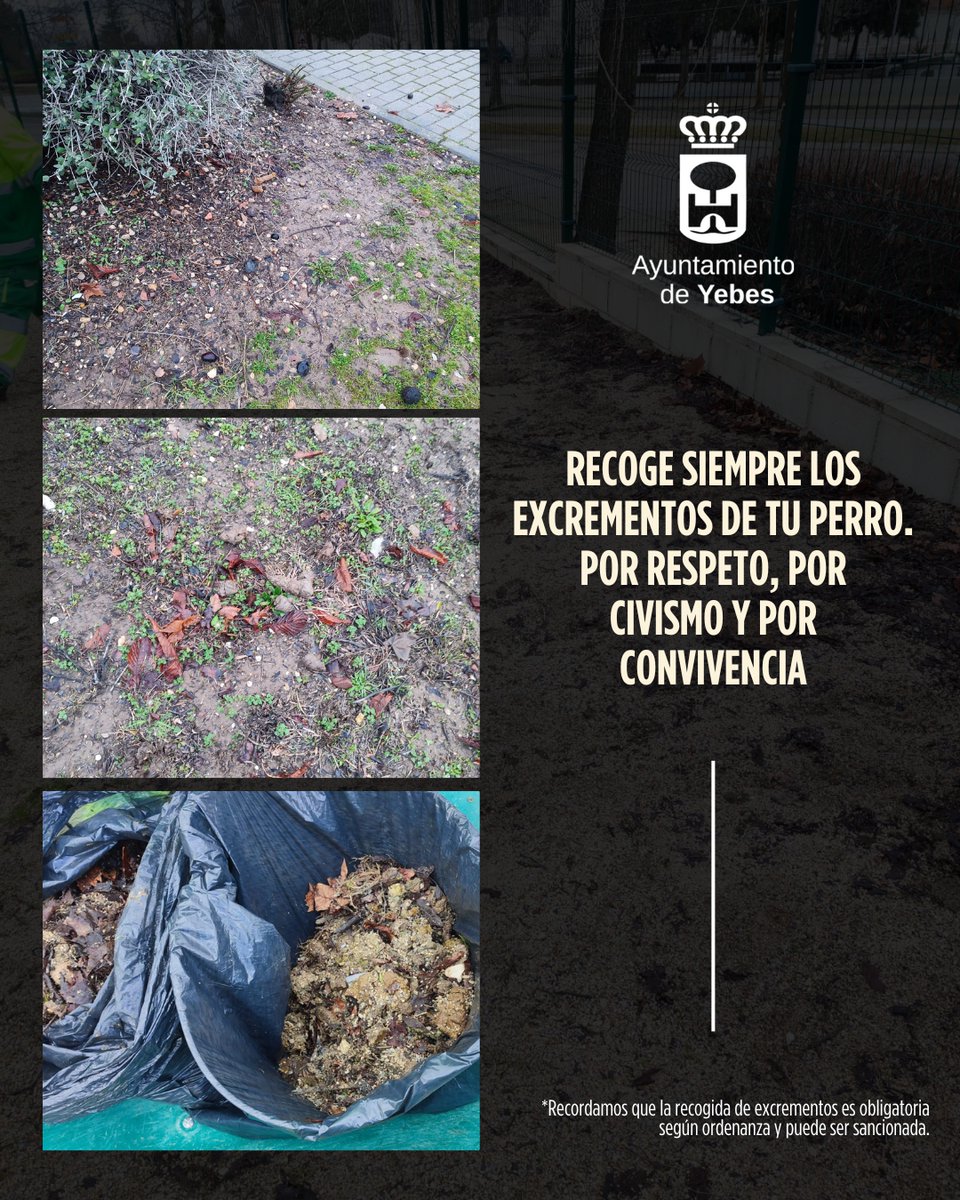 Una imagen vale mas que mil palabras.

Hagamos entre todos un municipio mejor.

Ellos no pueden recogerlo todos los días, es tu responsabilidad hacerlo