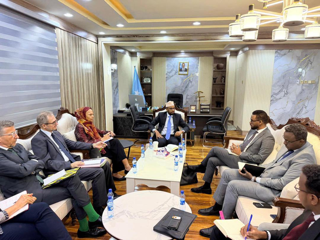 SomaliDRB's tweet photo. A delegation from SDRB, led by DG Adam Roble, today met with a high-level Swiss delegation headed by Amb. Patricia Danzi, DG of @SwissDevCoop. 

Chaired by @MoF_Somalia Deputy Minister Hon. @A_Haange, the meeting focused on SDRB’s key role in Somalia’s post-HIPC period. https://t.co/G00FhfIf3w