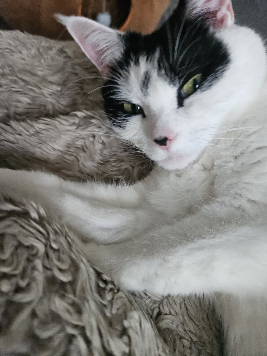 Cbucksrules tweet media