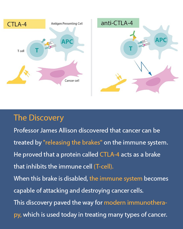 King Faisal Foundation مؤسسة الملك فيصل الخيرية tweet media