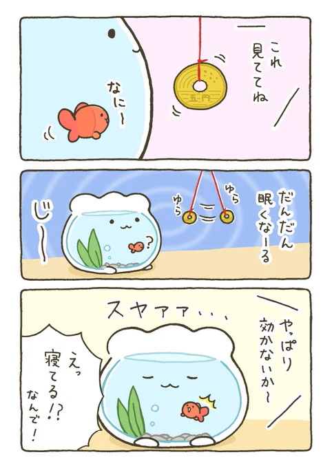 催眠術にかかる金魚鉢ちゃん 