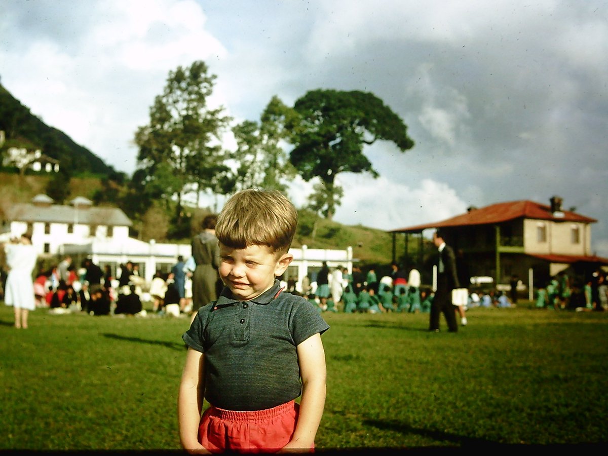 Peter Cook tweet media