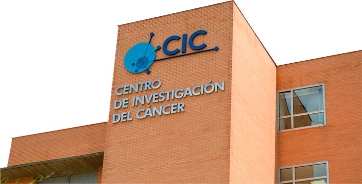 Xose R Bustelo tweet media