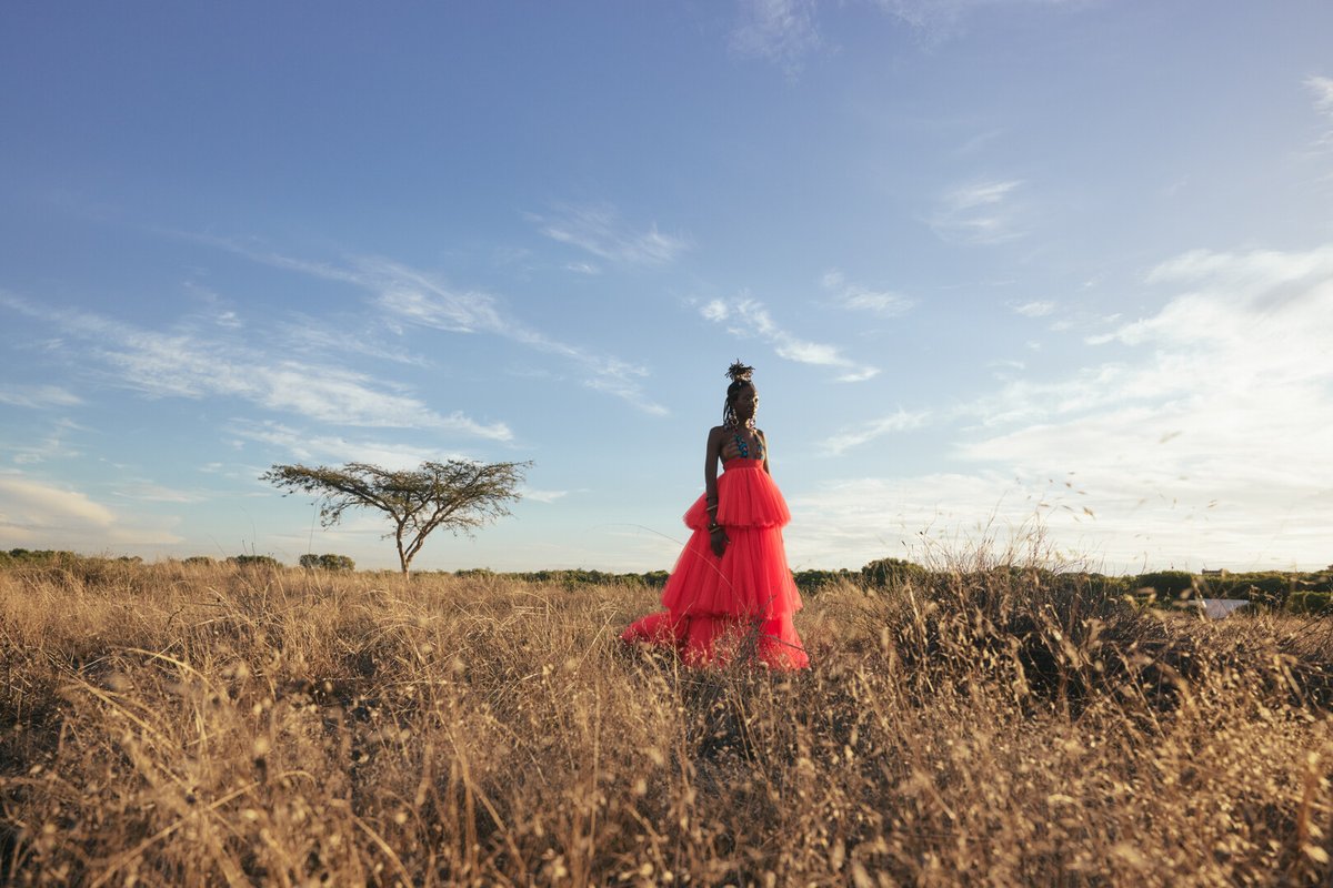 Berlin Short Film Festival tweet media