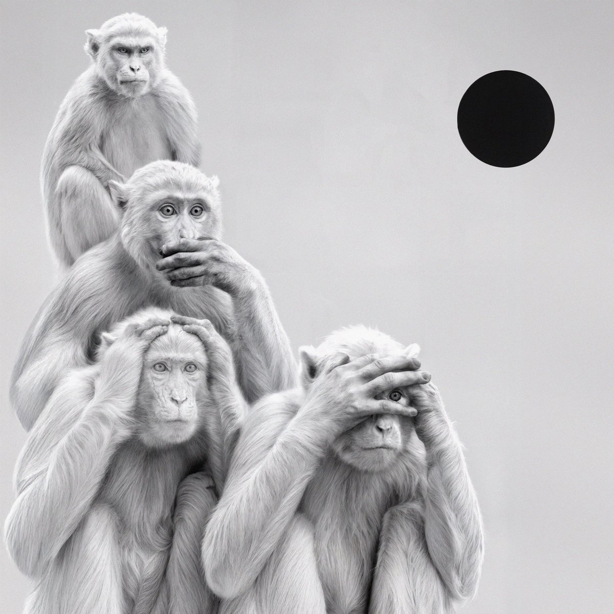 ZICO, Crush 'Yin and Yang (FANXY CHILD Ver.)(Feat. DEAN, PENOMECO)'
OUT NOW!

🎧mds.dreamuscompany.com/link/yinandyan…

#ZICO #Crush #DEAN #PENOMECO
#Yin_and_Yang