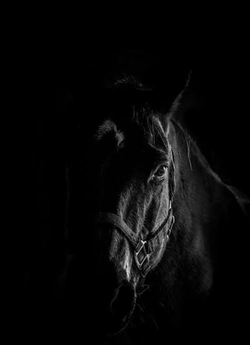 $DdarkHorse waits in silence for an explosion
No destruction, no construction