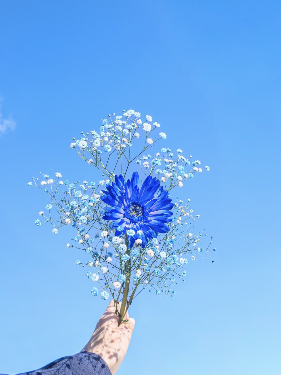 青い花が好きなあなたへ。