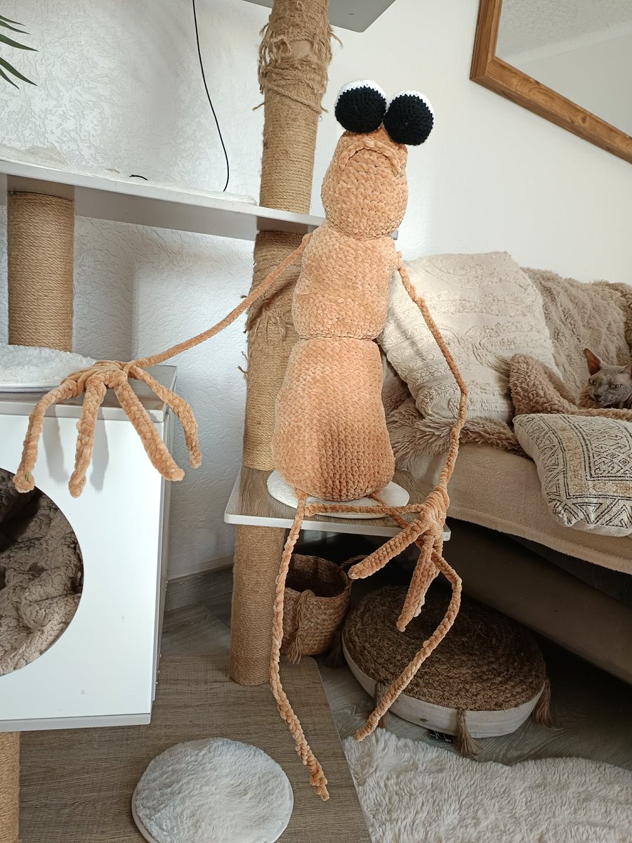 Shegoran tweet media