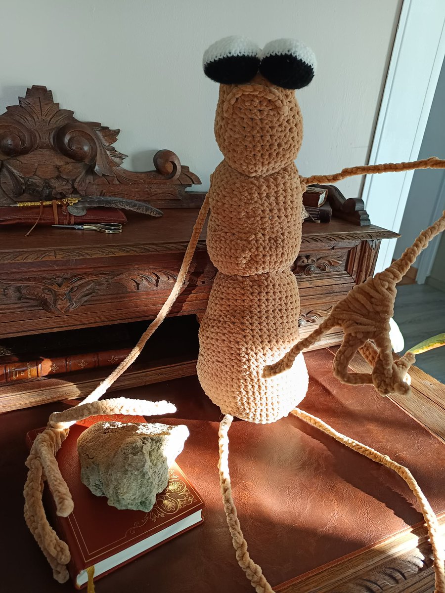 Shegoran tweet media