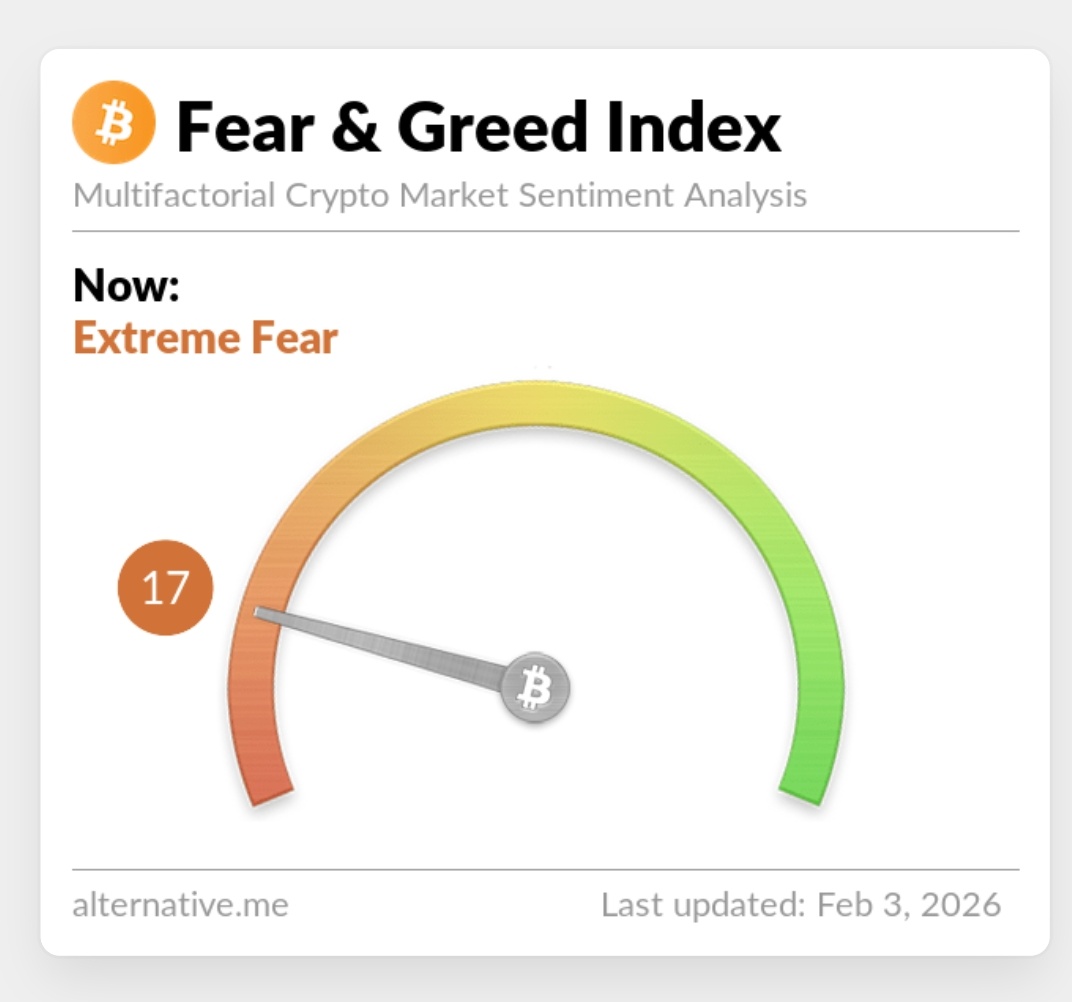 annaXcloud's tweet image. Bought another €1,000 of BTC + started DCA 💎
Buying the dip?