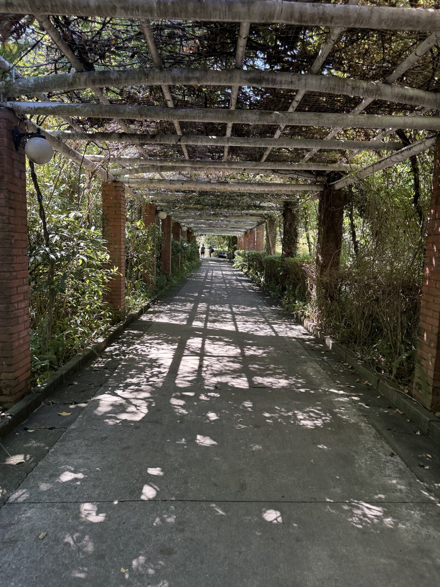 台北植物園は小南門駅のすぐそばです。 ここには日本統治時代の木造建築と、中国宮殿式の博物館が調和しており、とてもユニークな場所です。

Taipei Botanical Garden, located near Xiaonanmen station, with a Japanese wooden house and a Chinese palace-style museum.

#TaipeiTravel
#台北散步