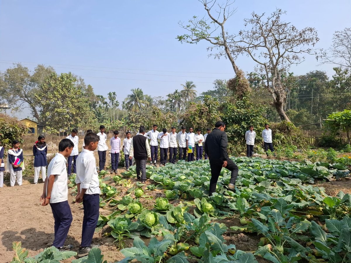 Samagra Shiksha Assam tweet media