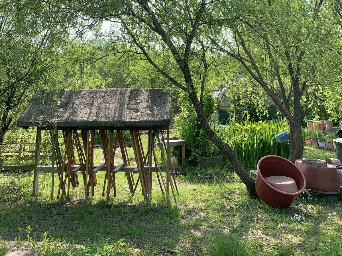 satsukiiione's tweet image. 이 멋진 글의 출발지,, 🌱 환영합니다 ₊˚.ᐟ