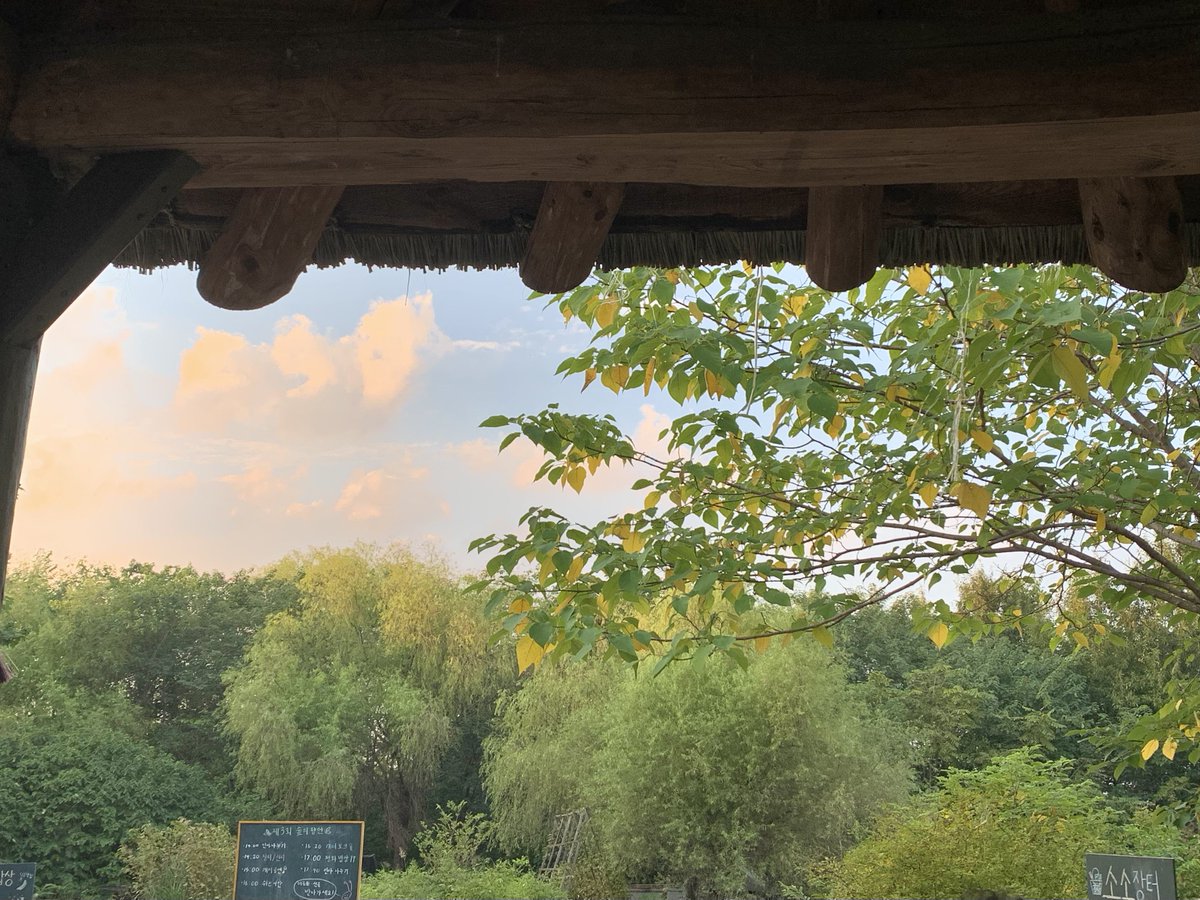 satsukiiione's tweet image. 이 멋진 글의 출발지,, 🌱 환영합니다 ₊˚.ᐟ