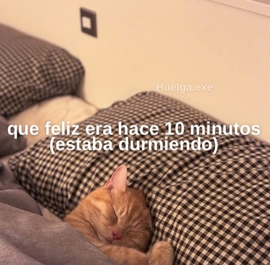 En Júpiter (@en_jupiter_) on Twitter photo 