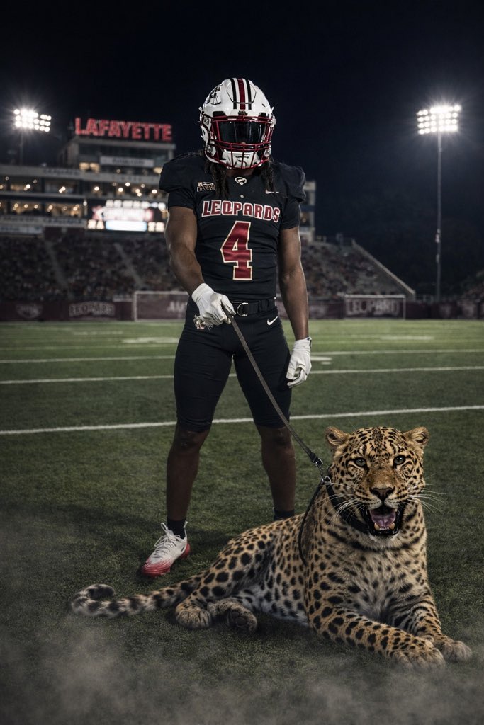 TJ DiMuzio tweet media