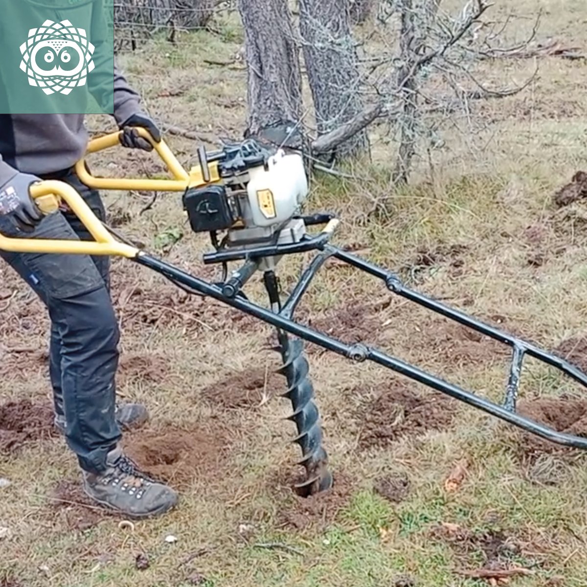 LIFE_UNCINATA tweet media