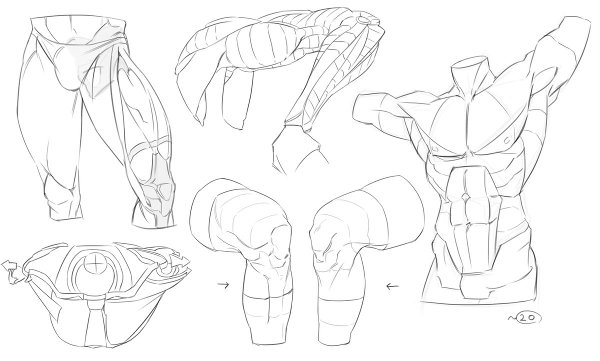 mamdok18's tweet image. 근육이란 뭘까요,,