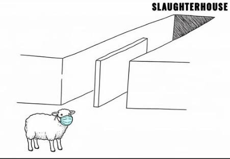 Koenig m.b. tweet media