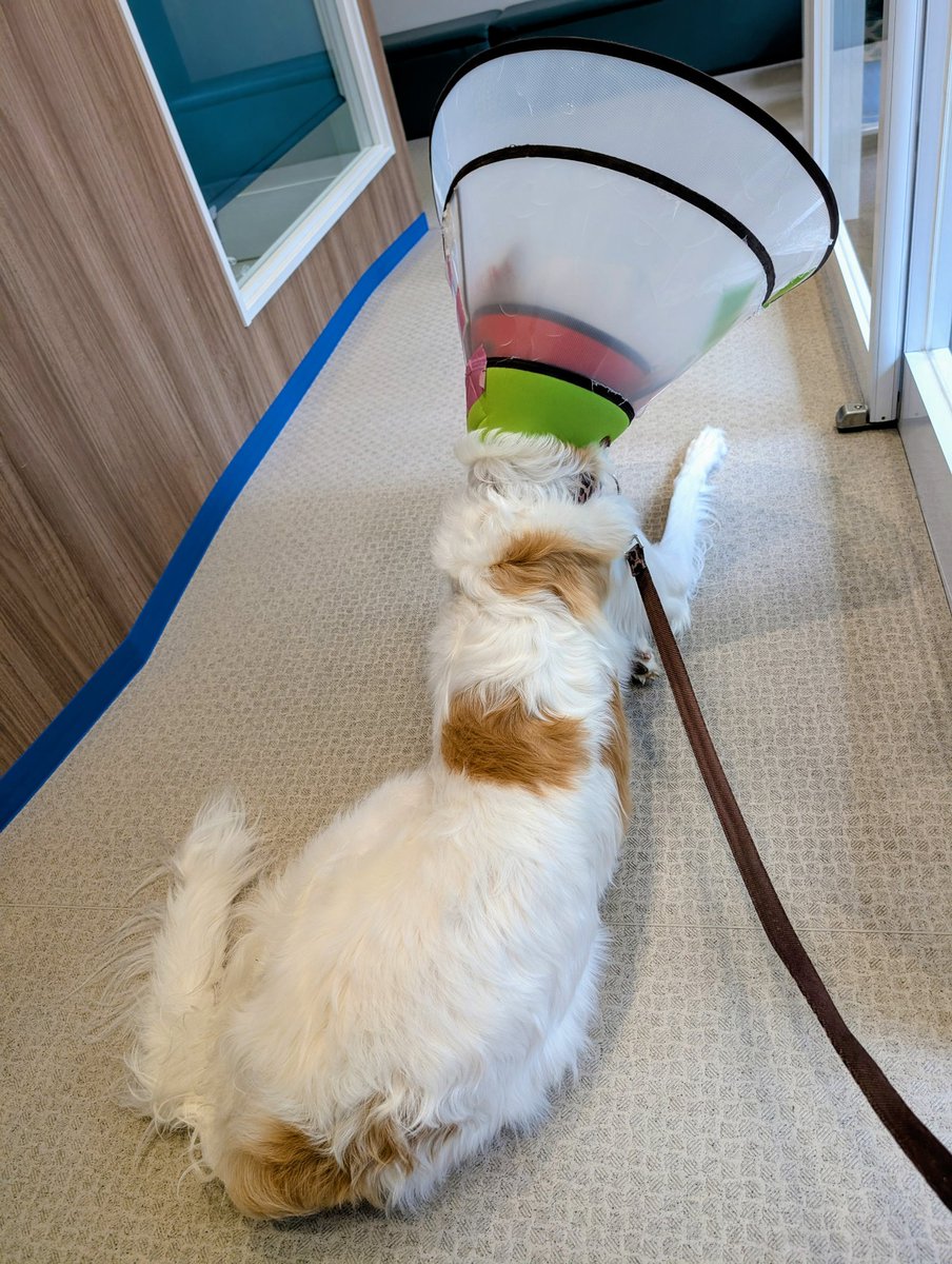 セキビシ (@sekivisy) / Posts / X