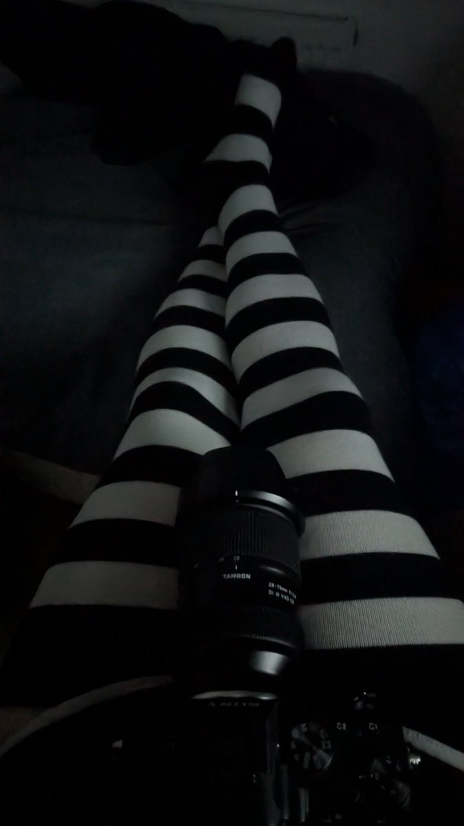 StormTheFloof🔜CFZ2026 tweet media